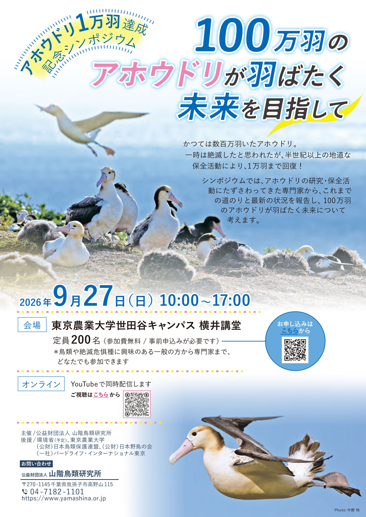 チラシ画像