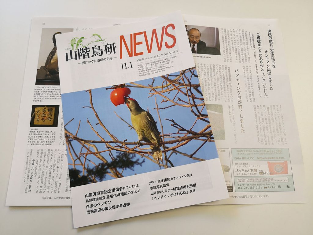 山階鳥研NEWS11月号表紙