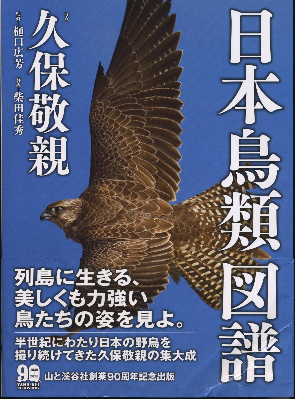 1月 | 2021 | 山階鳥類研究所広報ブログ