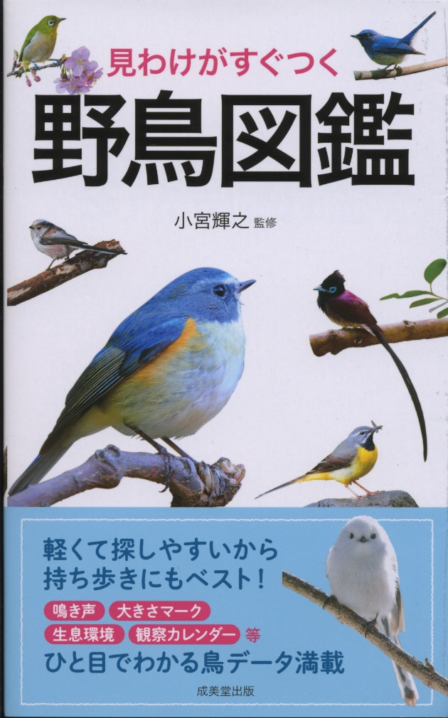 未分類 山階鳥類研究所広報ブログ