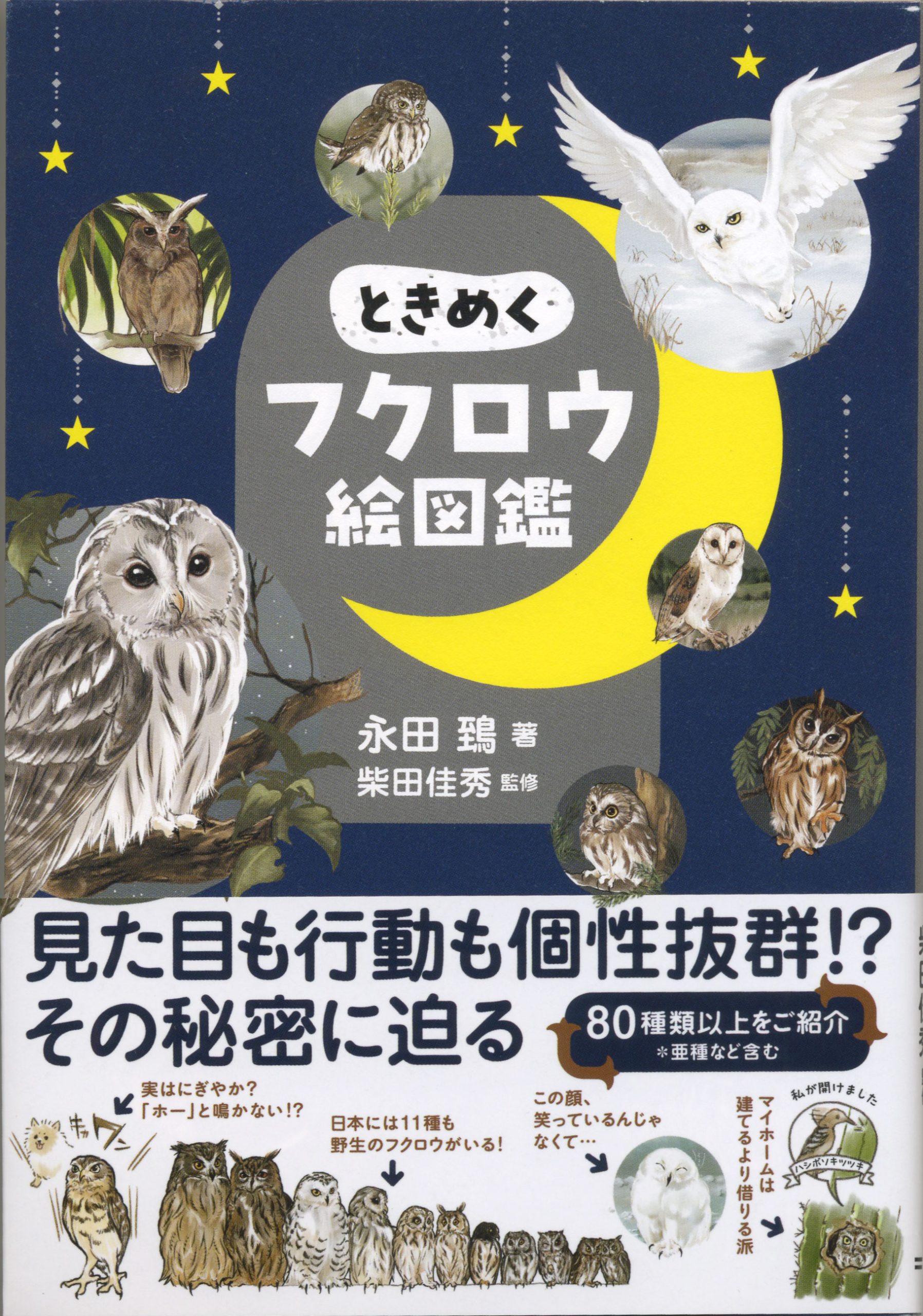 献本ありがとうございます。「ときめくフクロウ絵図鑑」 | 山階鳥類 