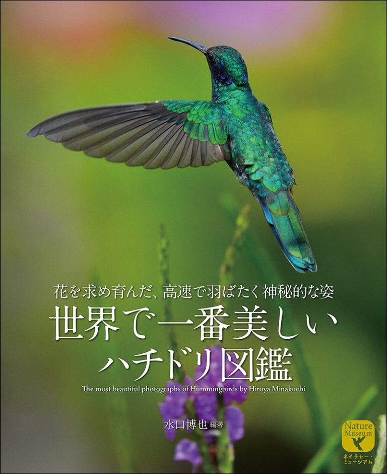 世界で一番美しい ハチドリ図鑑